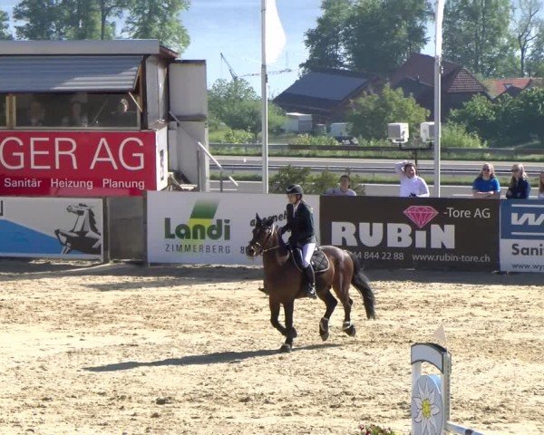 Reitturnier Wädenswil 2024