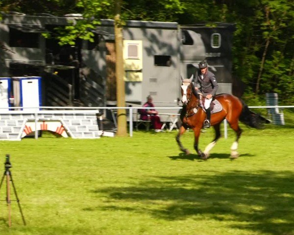 Reitturnier Helmsdorf 2024