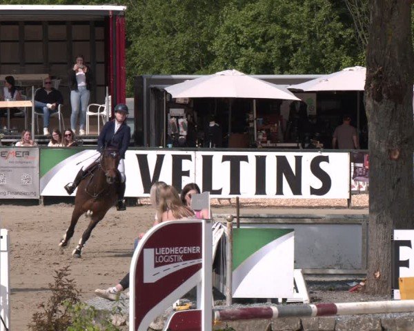 Reitturnier Hellefeld 2024