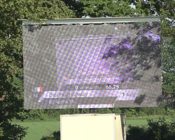 Reitturnier Scharnebeck 2024