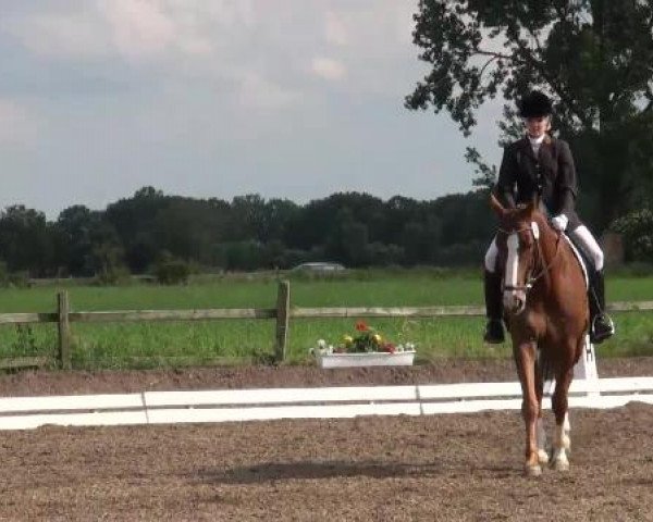 Weser Ems Meisterschaften Cloppenburg 2012