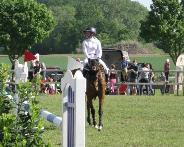 Reitturnier Wilkenburg 2024
