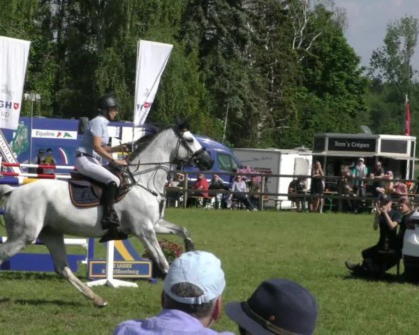 Reitturnier Wilkenburg 2024