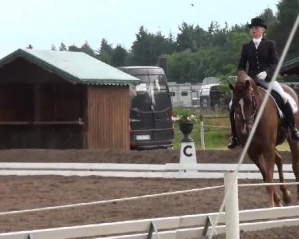 Weser Ems Meisterschaften Cloppenburg 2012