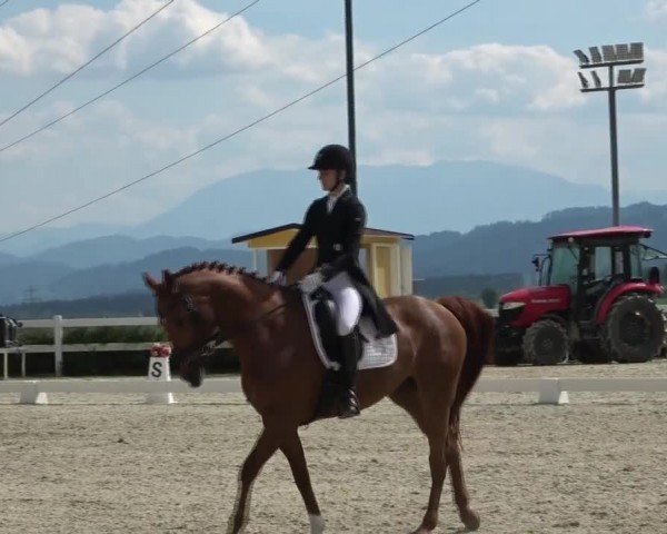 Reitturnier St. Margarethen 2024