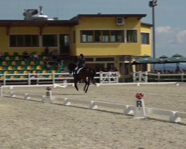 Reitturnier St. Margarethen 2024