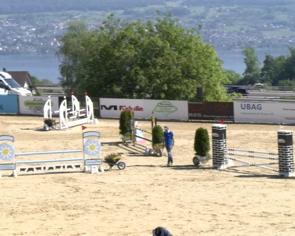 Reitturnier Wädenswil 2024