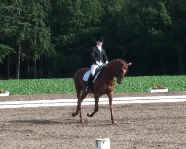 Weser Ems Meisterschaften Cloppenburg 2012