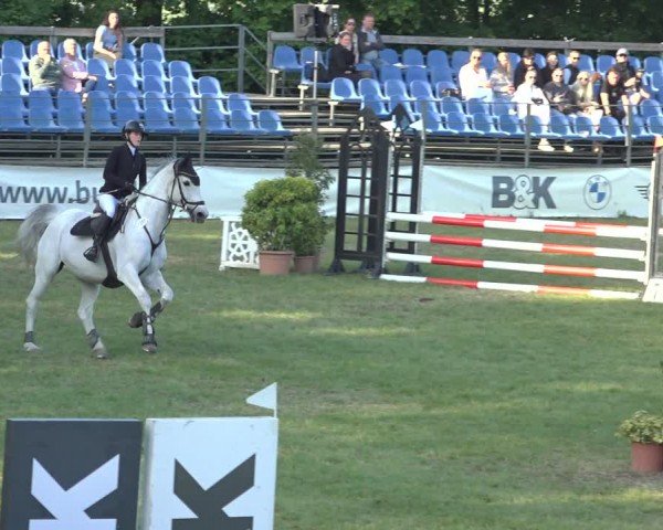 Reitturnier Scharnebeck 2024