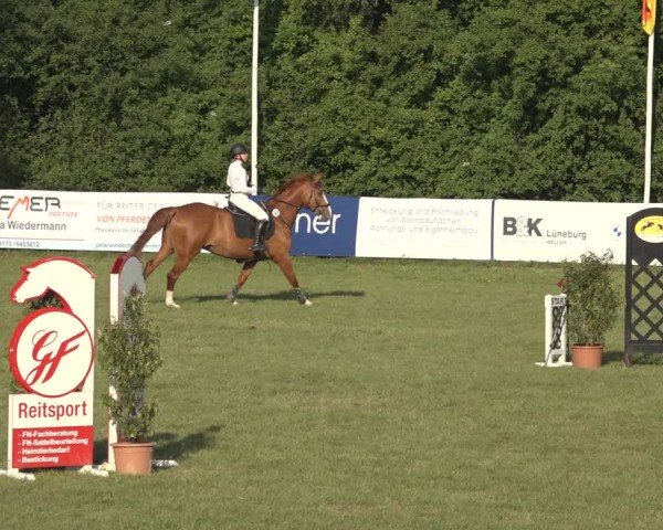 Reitturnier Scharnebeck 2024