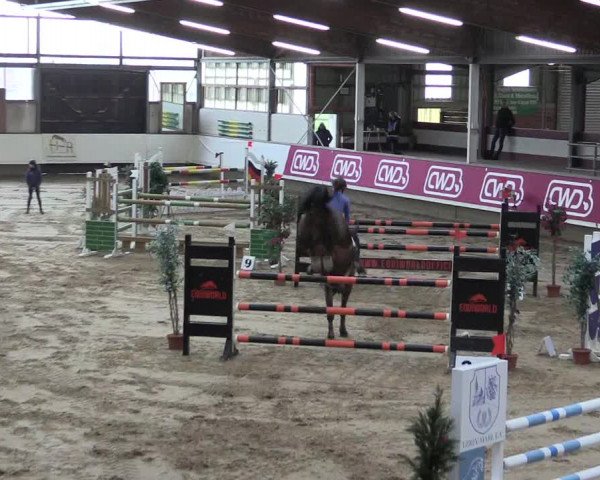 Winter Hallen Reit- und Springturnier, Reithalle Rohmann 2021