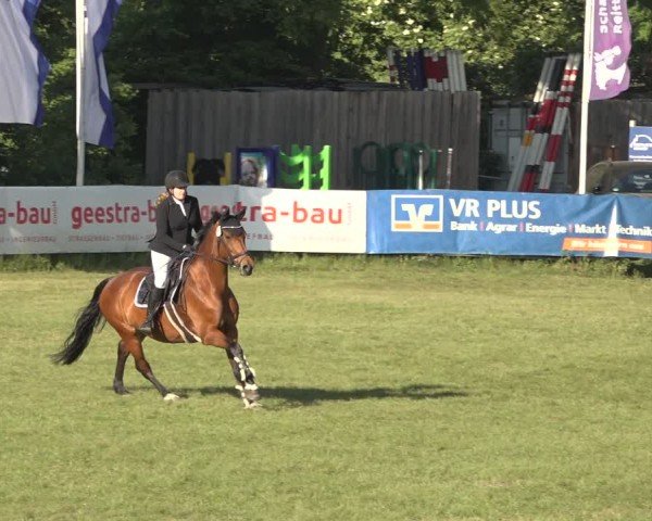 Reitturnier Scharnebeck 2024