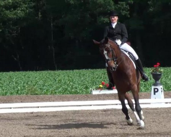 Weser Ems Meisterschaften Cloppenburg 2012