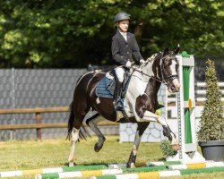 broodmare Mellimaras Je t'Aime (German Riding Pony, 2014, from Mellimara's Shalimar)