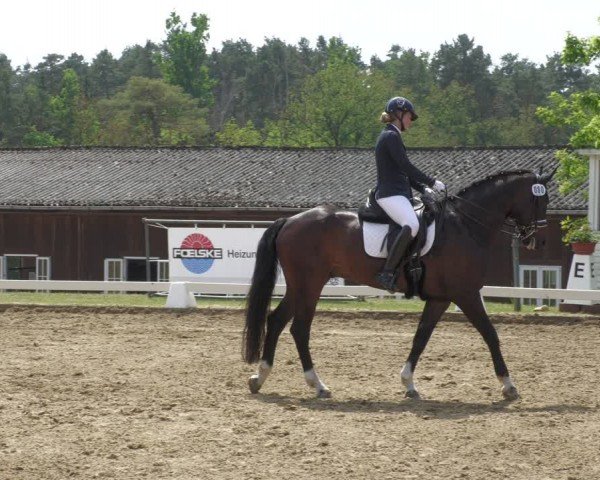 Reitturnier Teupitz 2024