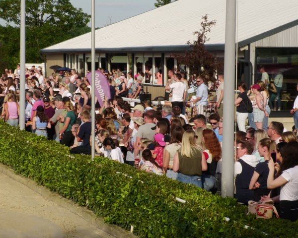 Reitturnier Bornheim-Widdig 2024