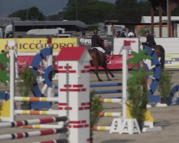 Reitturnier Giubiasco 2024