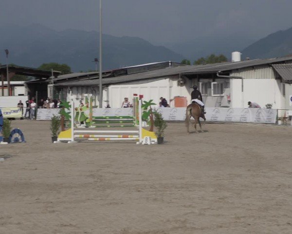 Reitturnier Giubiasco 2024