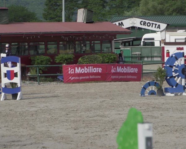 Reitturnier Giubiasco 2024