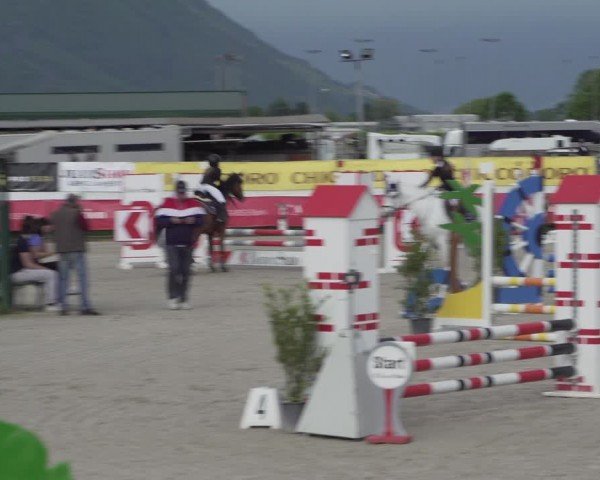 Reitturnier Giubiasco 2024