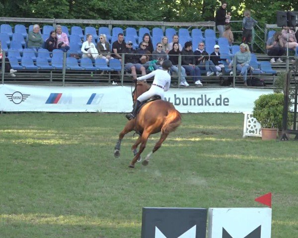 Reitturnier Scharnebeck 2024