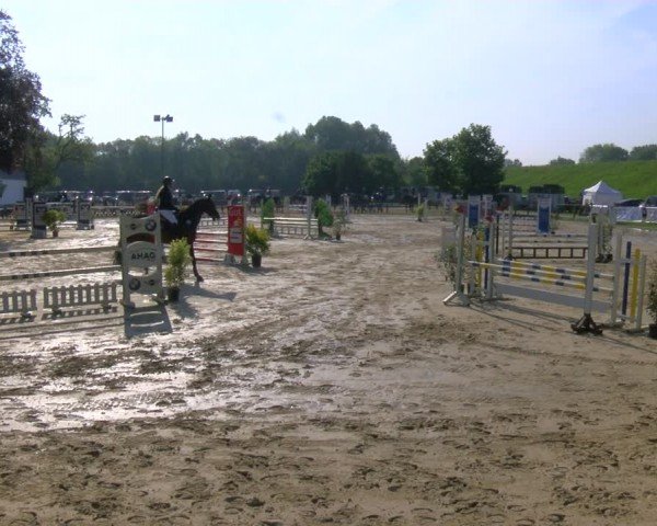 Reitturnier Dorsten 2024