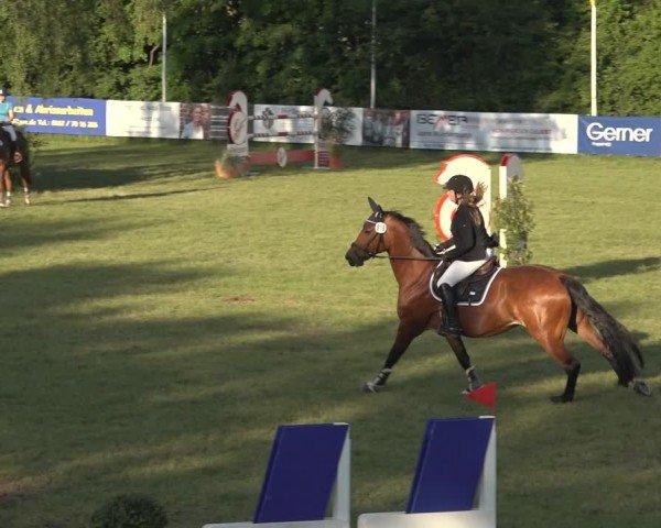 Reitturnier Scharnebeck 2024