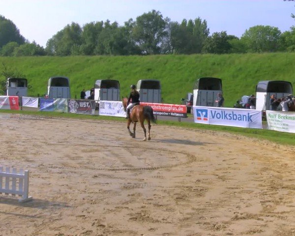 Reitturnier Dorsten 2024