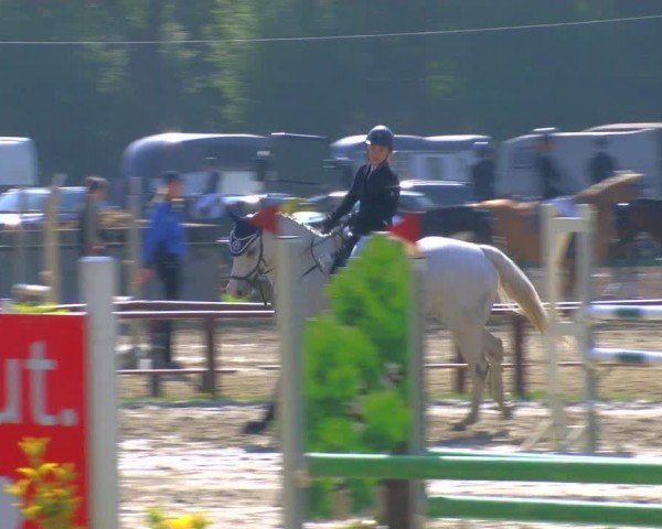 Reitturnier Dorsten 2024