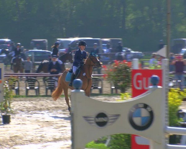 Reitturnier Dorsten 2024