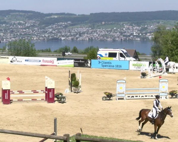 Reitturnier Wädenswil 2024