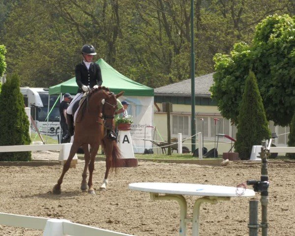 Reitturnier Teupitz 2024