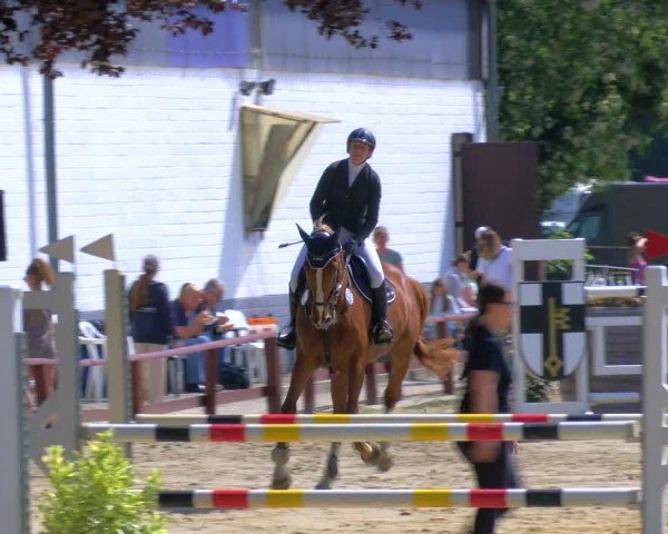 Reitturnier Dorsten 2024