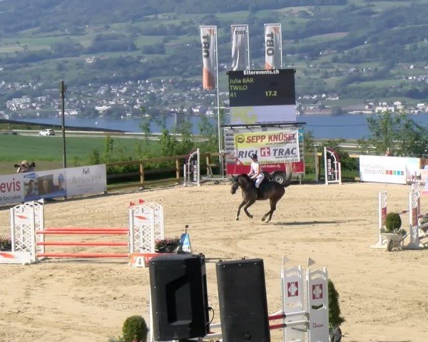 Reitturnier Wädenswil 2024