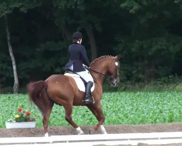 Weser Ems Meisterschaften Cloppenburg 2012