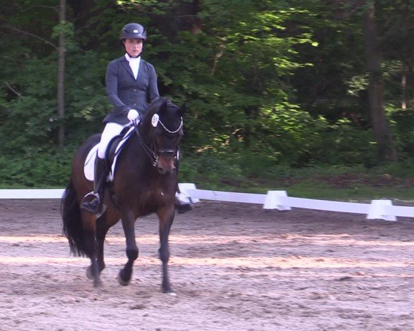 Reitturnier Helmsdorf 2024