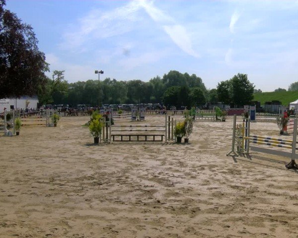 Reitturnier Dorsten 2024