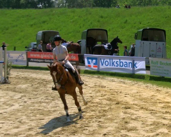 Reitturnier Dorsten 2024