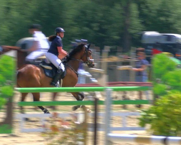Reitturnier Dorsten 2024