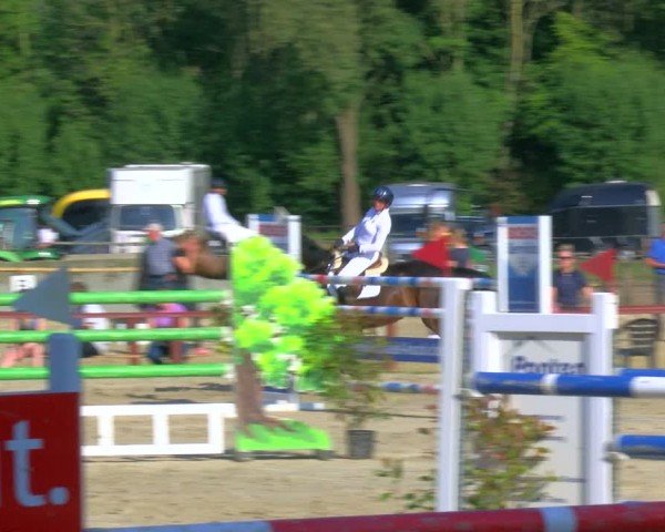 Reitturnier Dorsten 2024