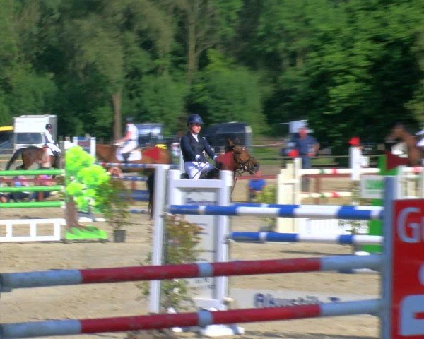 Reitturnier Dorsten 2024