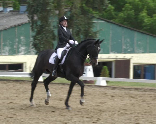 Reitturnier Teupitz 2024