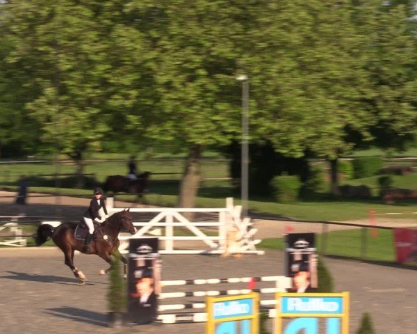 Reitturnier Hamm-Rhynern 2024