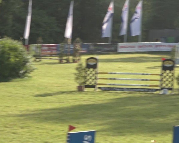 Reitturnier Scharnebeck 2024