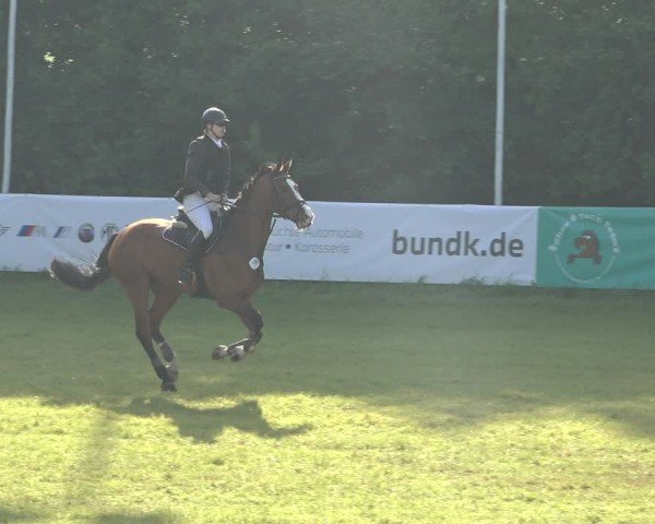 Reitturnier Scharnebeck 2024