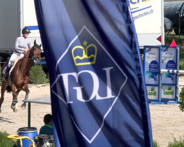 Basler Pferdesporttage Schänzli 2021