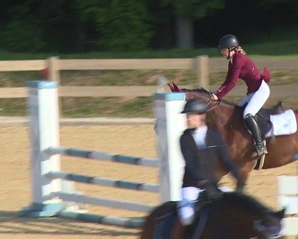Reitturnier Tiefenhof/Opf. 2024