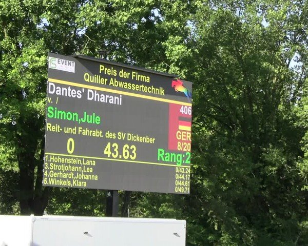 Reitturnier Lienen 2024