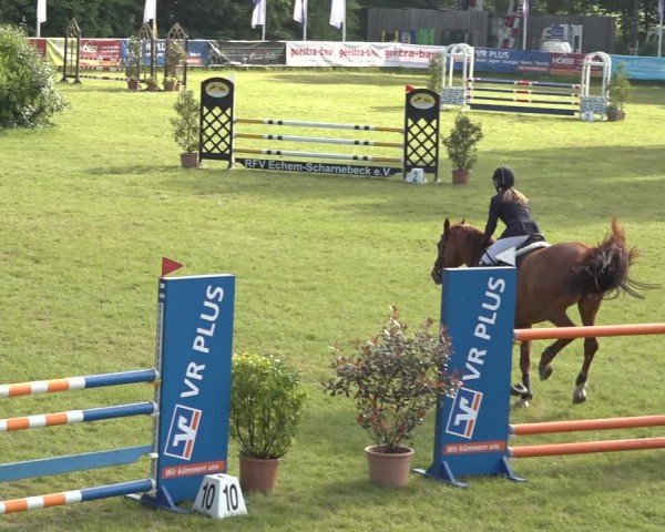 Reitturnier Scharnebeck 2024