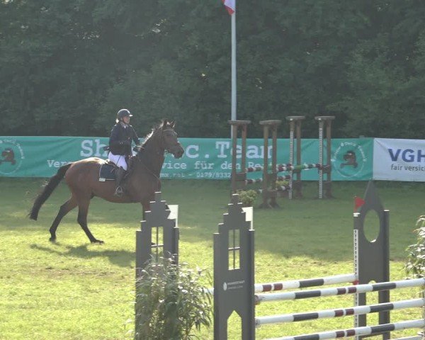 Reitturnier Scharnebeck 2024